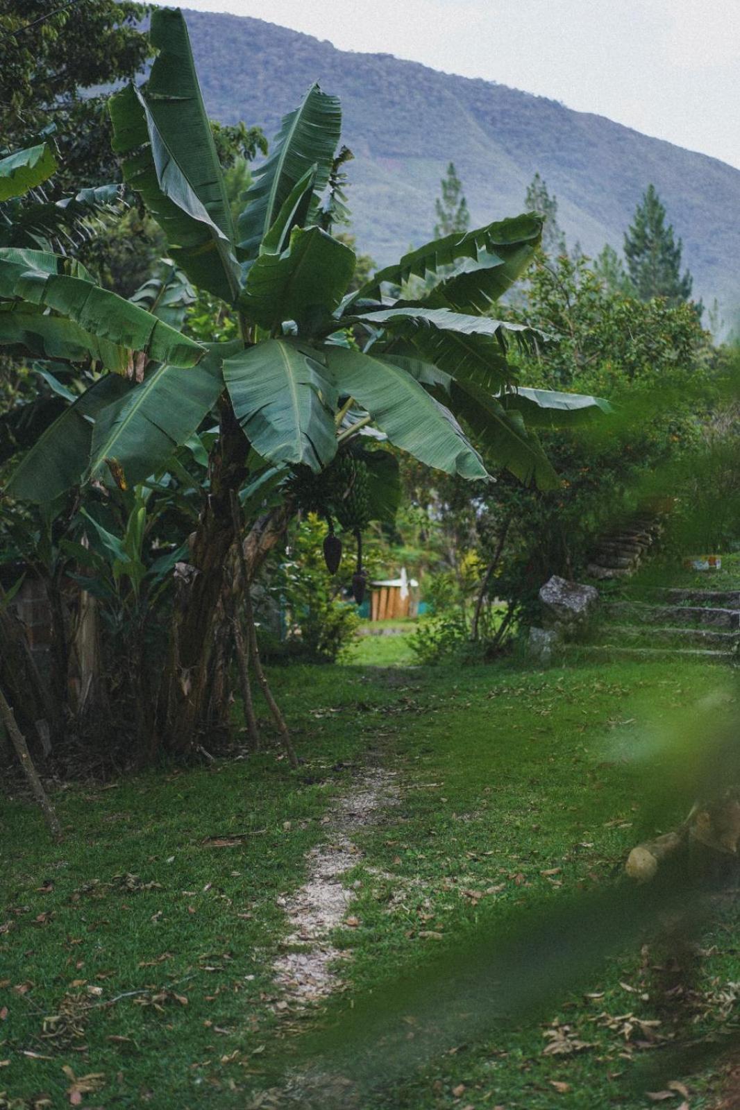 Lucmabamba Lodge Santa Teresa  Exteriér fotografie